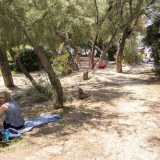 Arenile che � circondato da bassi alberi che regalano zona d�ombra ambite durante le giornate pi� calde